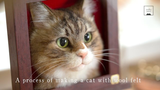 A process of making a cat with wool felt.