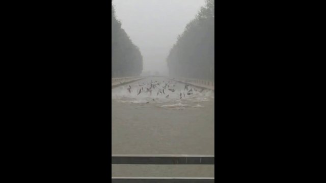 Shenyang, China, recorded one of the biggest rainstorms in 73 years [VIDEO]