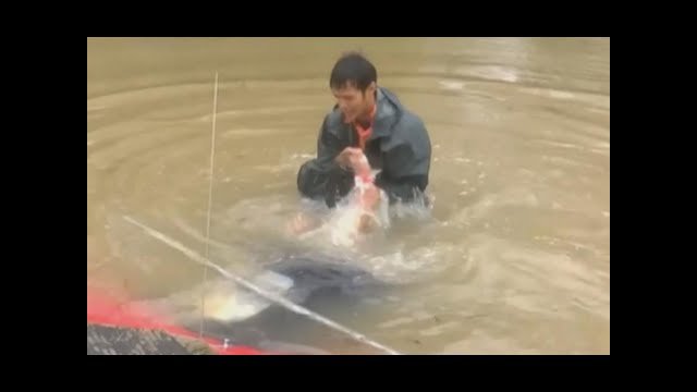 Man saves woman, dog seconds before car sinks