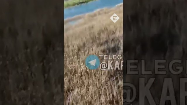 Ukrainian fishermen throw fish at Russian drone [VIDEO]