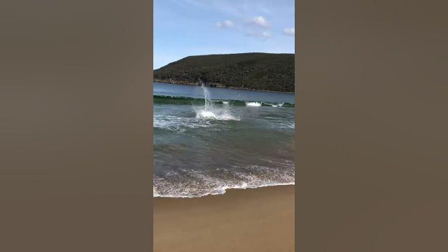 Full Send from Sand to Sea [VIDEO]