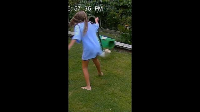 Australian girl swings snake by tail to rescue guinea pig [VIDEO]