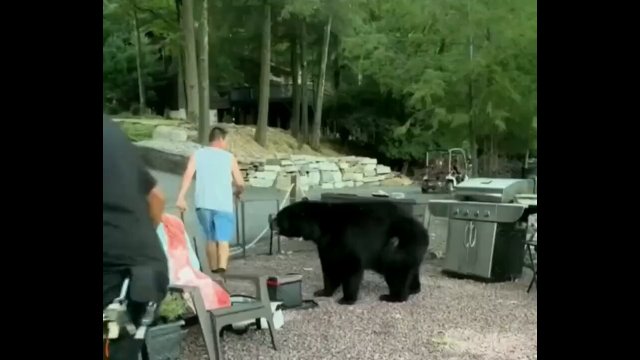 Man tells a bear he’s not invited and has to leave… [VIDEO]