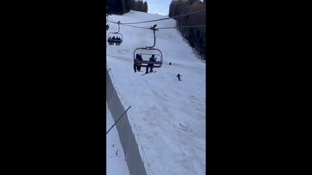 Skier in lucky escape after being chased by brown bear down slope