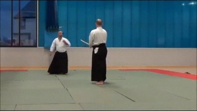 Akido master shows best self-defense techniques against a sword