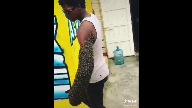 What?! Man seen walking the streets with bee colony on his arm!