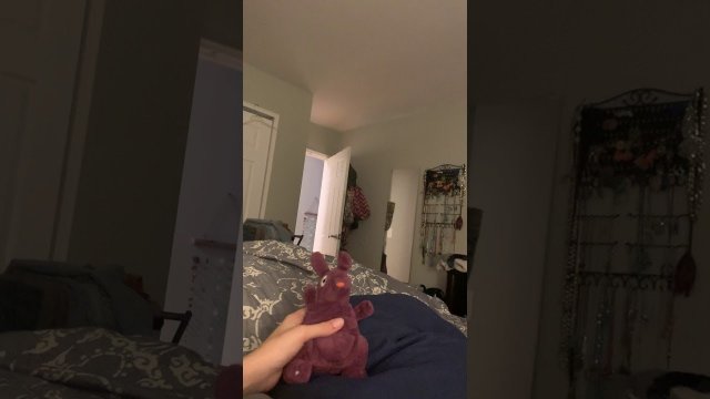 Doggy Dives Into Bed for Morning Greeting